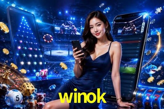 Game Statistics winok